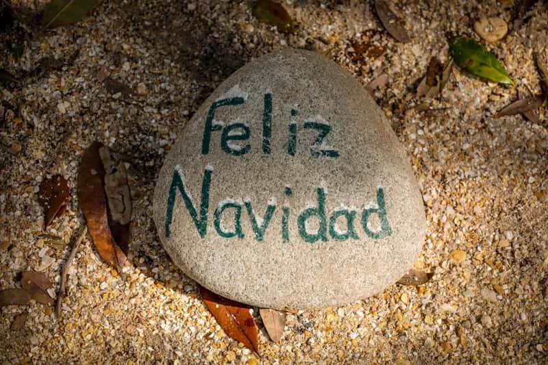Por Favor and Gracias, Your Two Workhorses (Image Credits: Unsplash)