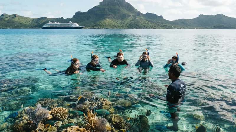 #10 - They Book Shore Excursions Months, Not Days, Ahead (Image Credits: Gemini)