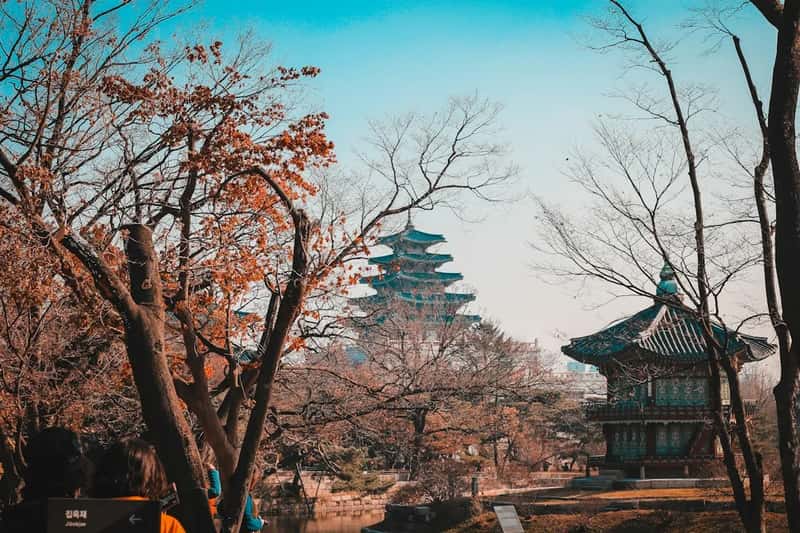 5. South Korea (Image Credits: Unsplash)