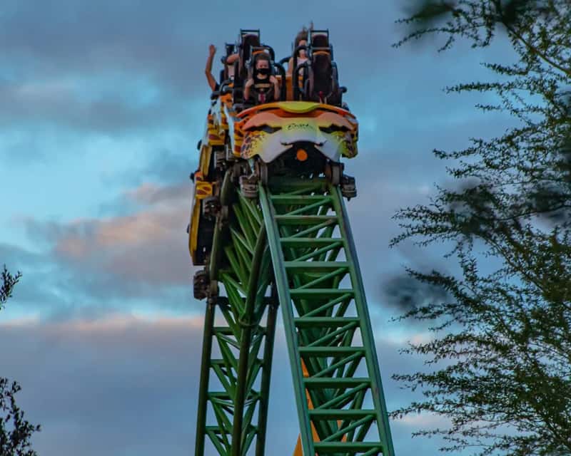 4. Busch Gardens Tampa Bay (Image Credits: Unsplash)