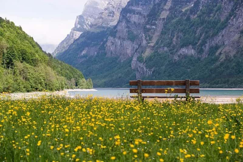 Geneva's Alpine Advantage (Image Credits: Pixabay)