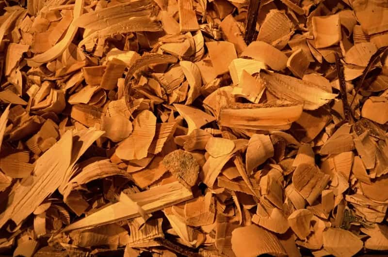 #7 - Get Free Wood Chip Mulch From Local Arborists or Your Municipality (Image Credits: Unsplash)