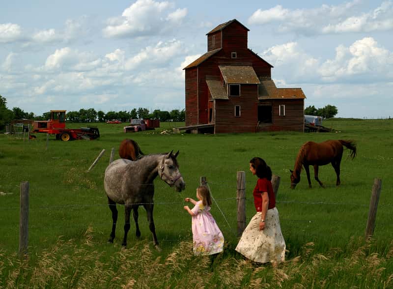 Canada: Saskatchewan's $15,000 Tax Return Program (Image Credits: By Saffron Blaze, CC BY-SA 3.0, https://commons.wikimedia.org/w/index.php?curid=15351085)