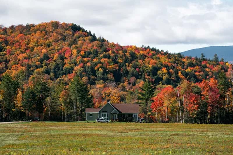 New Hampshire Is Also Quietly Winning (Image Credits: Unsplash)