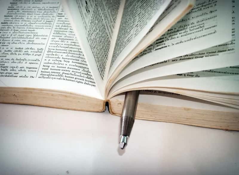 10. Language Lessons and Document Translation (Image Credits: Pexels)