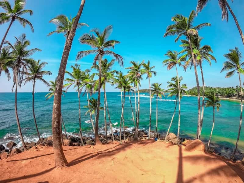 Sri Lanka: Beaches, Villas, and Bargains (Image Credits: Unsplash)