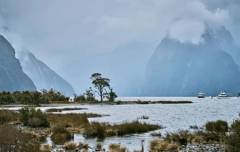 New Zealand: Your Budget Will Cry by Day Three (Image Credits: Flickr)