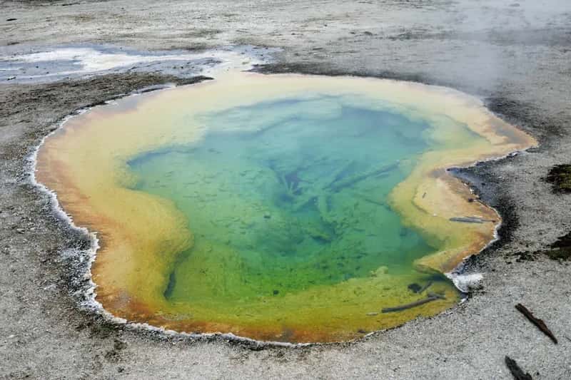 #13 - Not Knowing That Yellowstone Booking Works Differently (Image Credits: Unsplash)