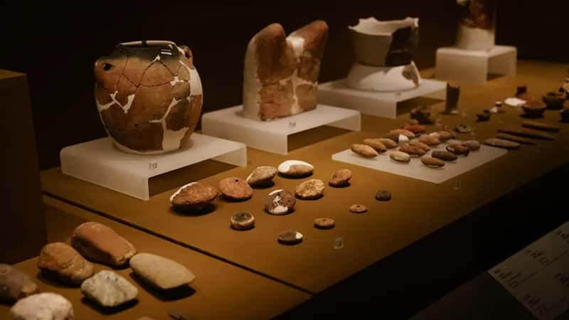 6. Ancient Artifacts and Archaeological Items (Image Credits: Unsplash)