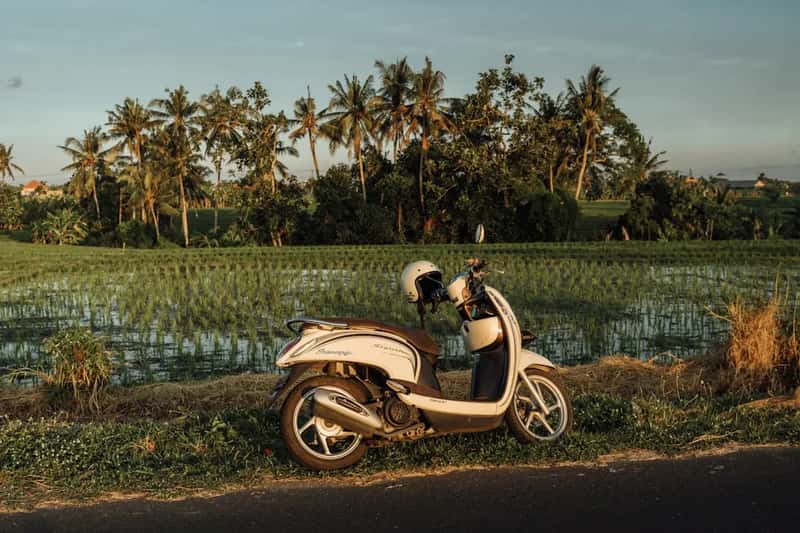 4. Indonesia (Bali) (Image Credits: Unsplash)