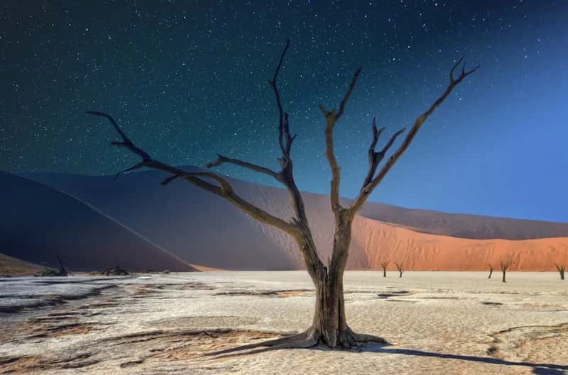 Namibia: Desert Silence And Dark Skies (Image Credits: Unsplash)