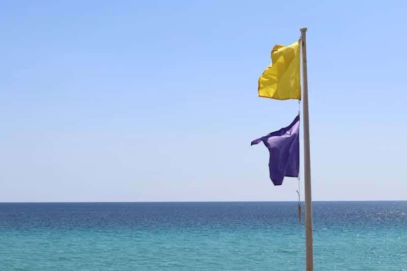 What the "Purple Flag" Actually Is - and Why It Matters (Image Credits: Unsplash)