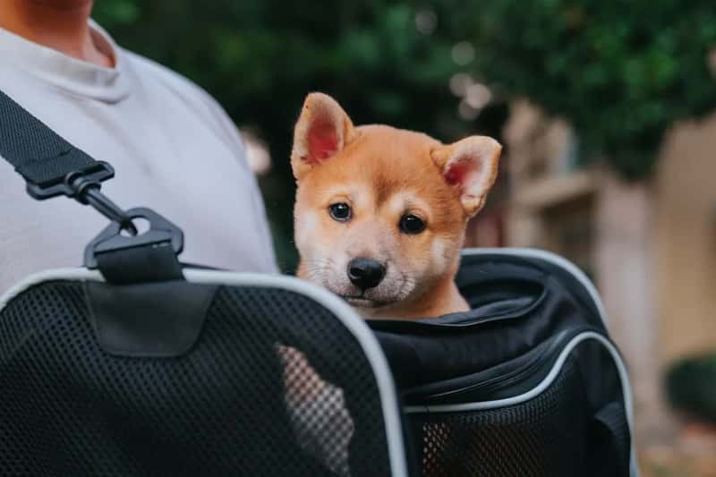 2. "Could I Get a Box for This?" (Image Credits: Unsplash)
