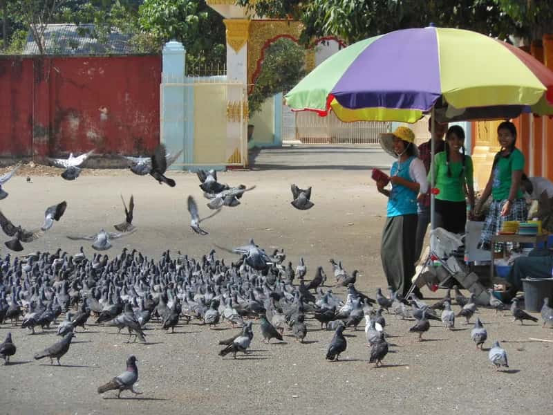 An overly friendly stranger usually wants something (Feeding Pigeons, CC BY-SA 2.0)