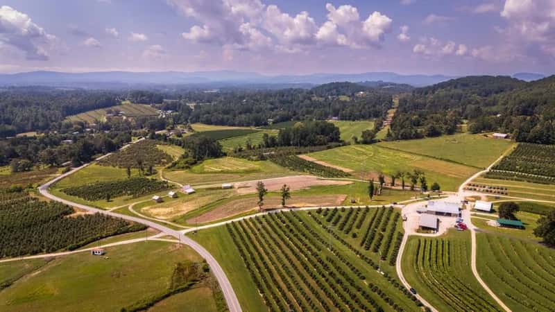 5. Hendersonville, North Carolina (Image Credits: Pexels)