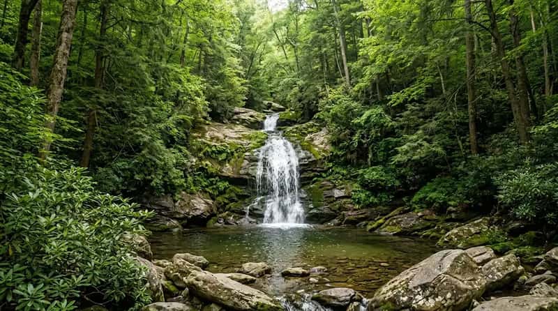 #24 - Balsam Grove: Buried Inside Pisgah National Forest (Image Credits: Gemini)