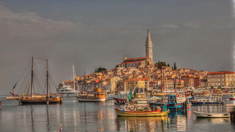 Croatia: the surprise climber (Flickr: City-nature-landscape-Rovinj-Croatia20120621, CC BY 2.0)