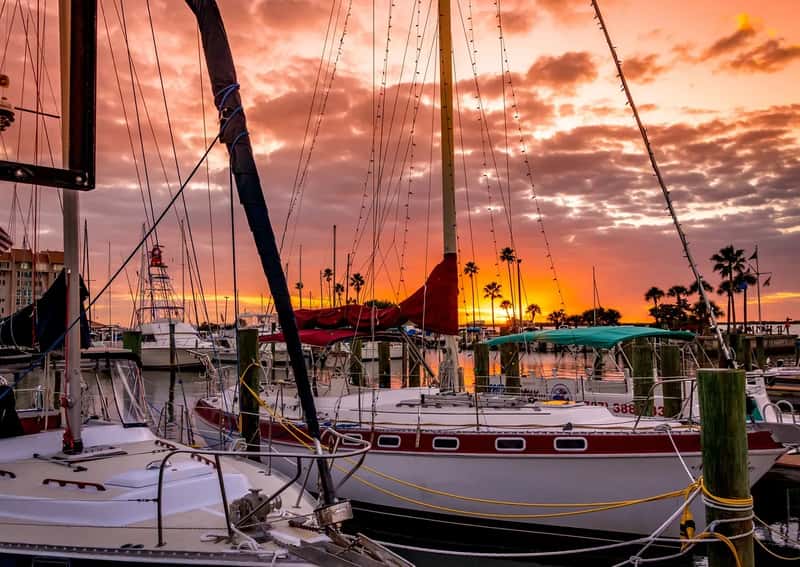 5. Dunedin, Florida (Image Credits: Pixabay)