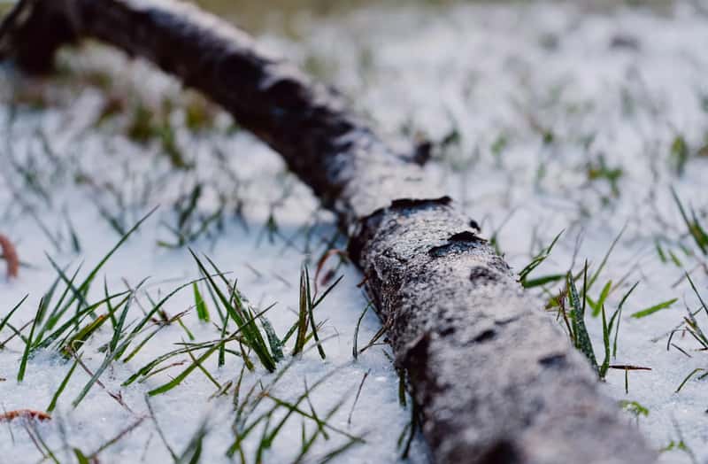 Forecasters Disagree on the Vortex This Winter (Image Credits: Unsplash)