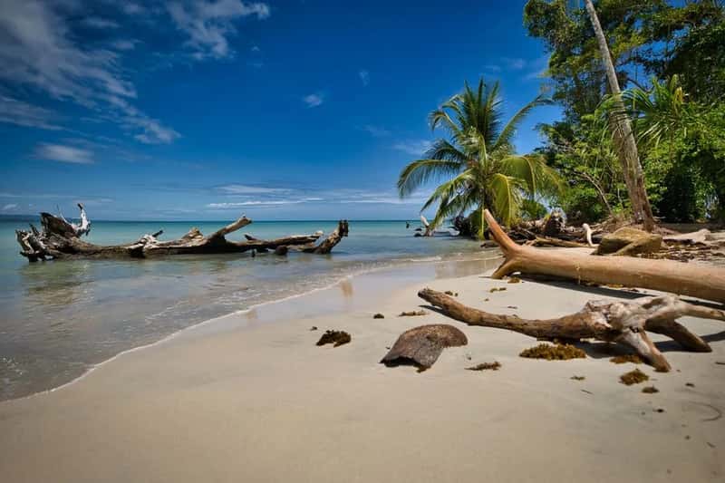 Costa Rica and the appeal of a genuinely different pace of life (Image Credits: Pexels)