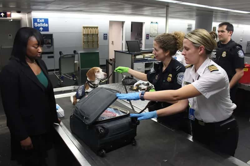 #5 - There's No Senior Discount for TSA PreCheck - But Here's What Comes Close (Image Credits: Unsplash)