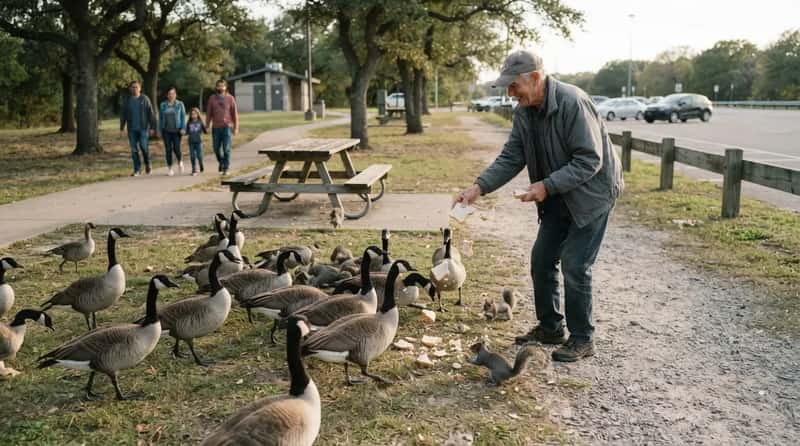 #22 - Feeding the Squirrels and Geese Anyway (Image Credits: Gemini)