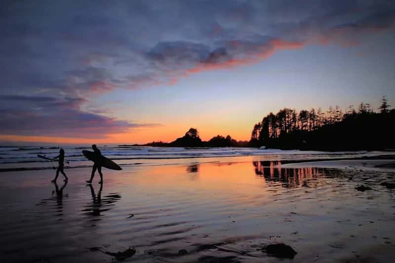 Tofino: A Surf Town Drowning in Its Own Success (Image Credits: Unsplash)