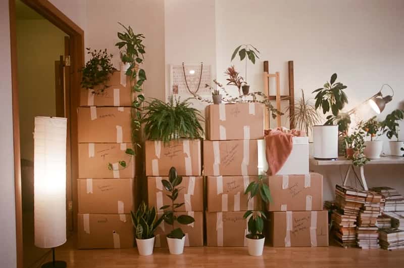 6. Starting a Home From Scratch (Image Credits: Unsplash)