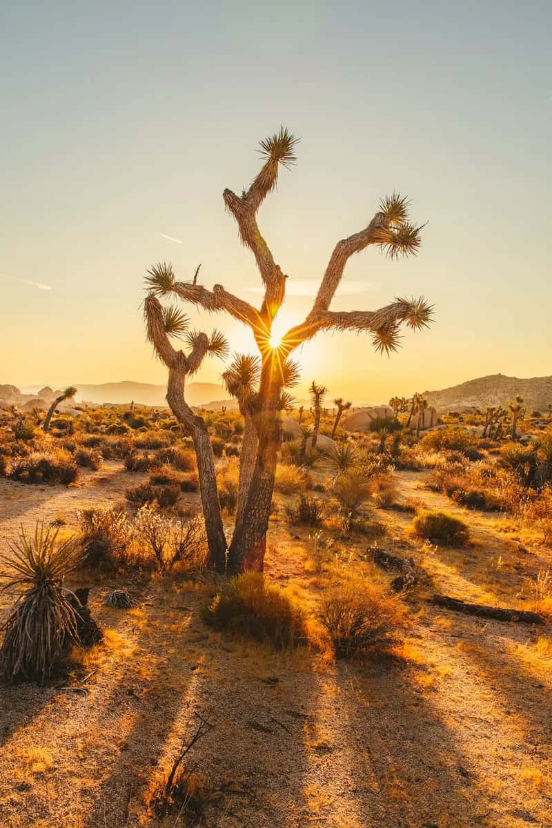 A Quiet Shift in the Sunbelt Retirement Map (Image Credits: Unsplash)