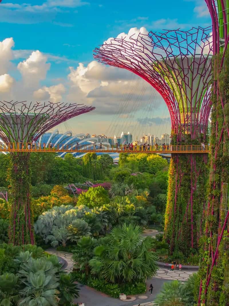 2. Singapore (Image Credits: Unsplash)