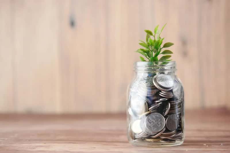 7. A cash cushion matters more than chasing a better return (Image Credits: Unsplash)
