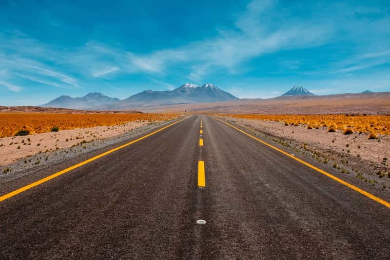Road trips took the biggest hit, not flights (Image Credits: Unsplash)
