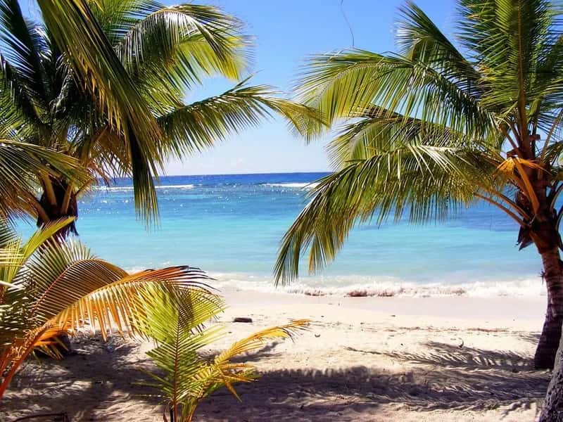 Dominica: Nature's Luxury Retreat (Image Credits: Pixabay)