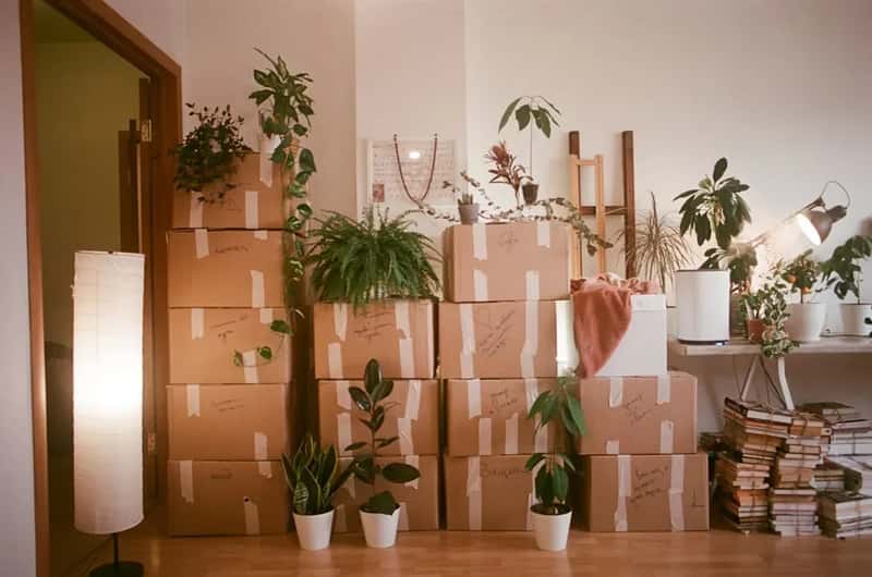 Should You Actually Do It? (Image Credits: Unsplash)