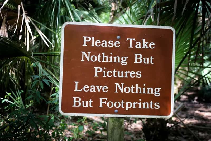 Mistake #7: Ignoring Leave No Trace Principles (Image Credits: Unsplash)