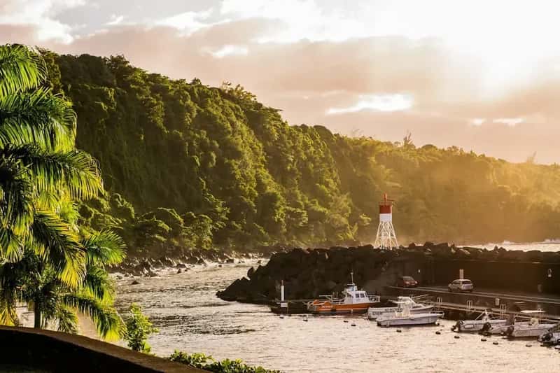 Réunion Island, France: Shark-Infested Paradise (Image Credits: Unsplash)