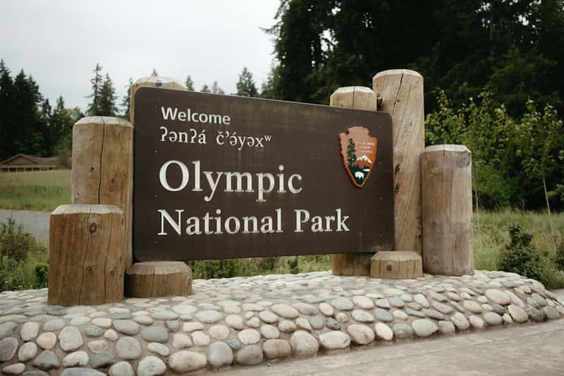 Olympic National Park: Washington's Diverse Natural Wonderland (Image Credits: Unsplash)