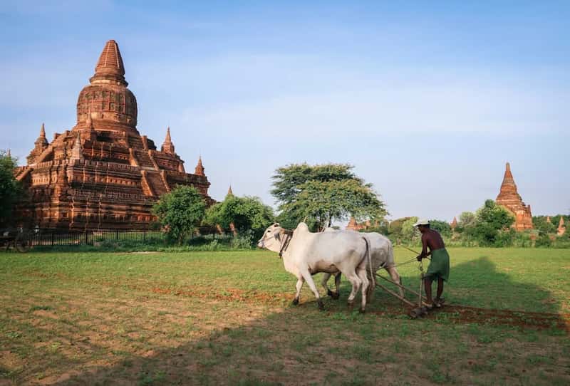 Myanmar (Image Credits: Unsplash)