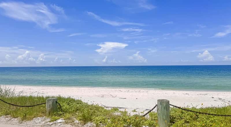 Sarasota, Florida (Image Credits: Pixabay)