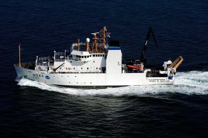 Healthcare at Sea: The Question Everyone Asks (Made by myself for wikipedia, Public domain)