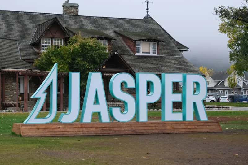 Jasper still hadn't fully recovered (Image Credits: Unsplash)