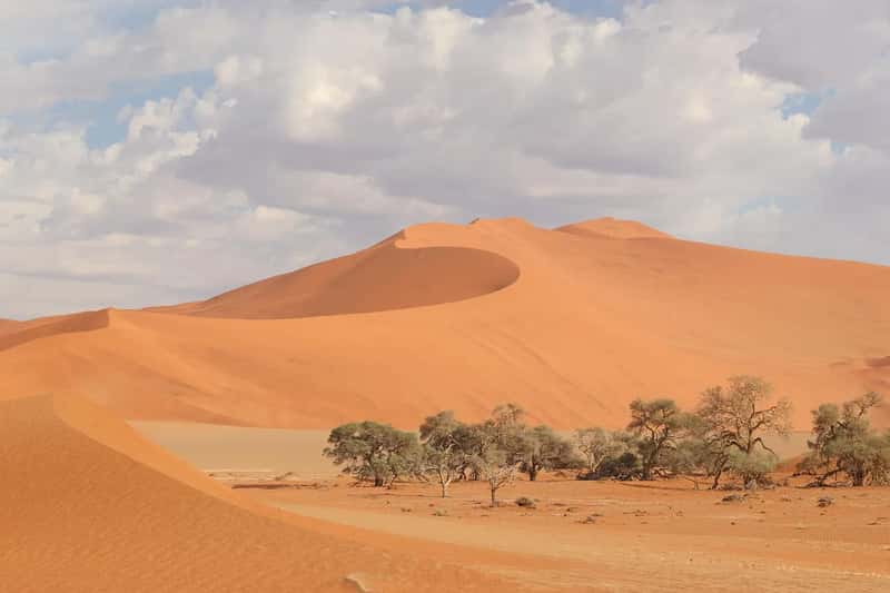 7. Namibia (Image Credits: Pixabay)