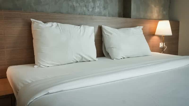 4. Bed frames and mattresses harboring bed bugs (Image Credits: Pexels)