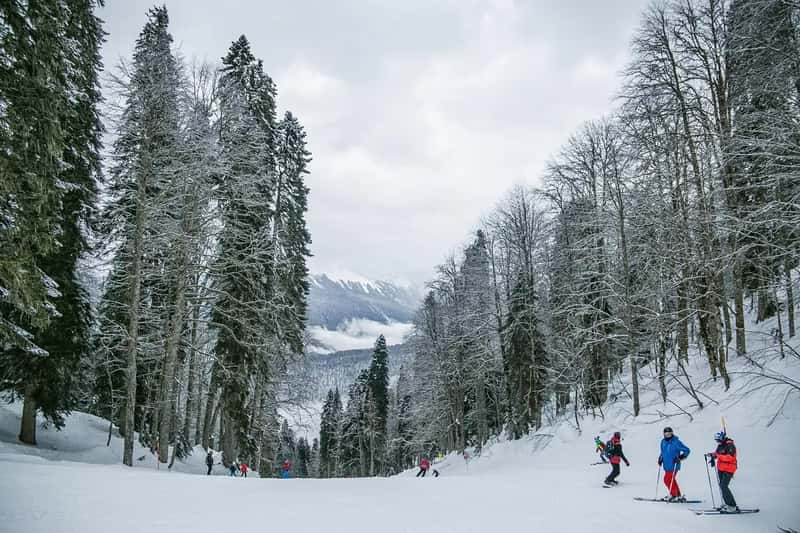 6. Jasná, Slovakia (Image Credits: Pixabay)