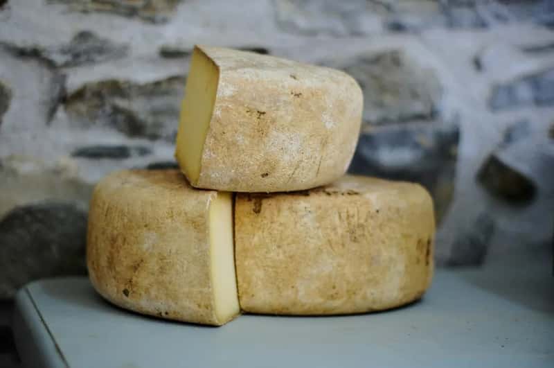 1. Cheese curds only count if they squeak (Image Credits: Unsplash)