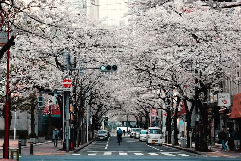 2. Japan - A Culture That Keeps You Safe (Image Credits: Unsplash)