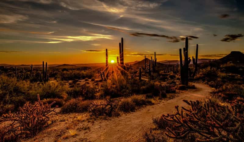2. Scottsdale, Arizona (Image Credits: Unsplash)