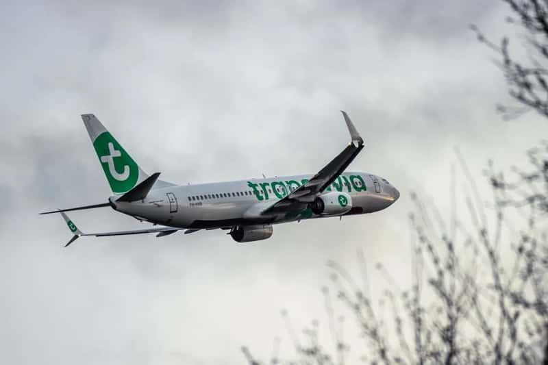 Transavia (Image Credits: Pexels)