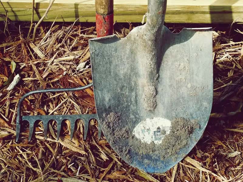 #14 - Loosen Old Mulch Before Adding New Layers Every Season (Image Credits: Pixabay)