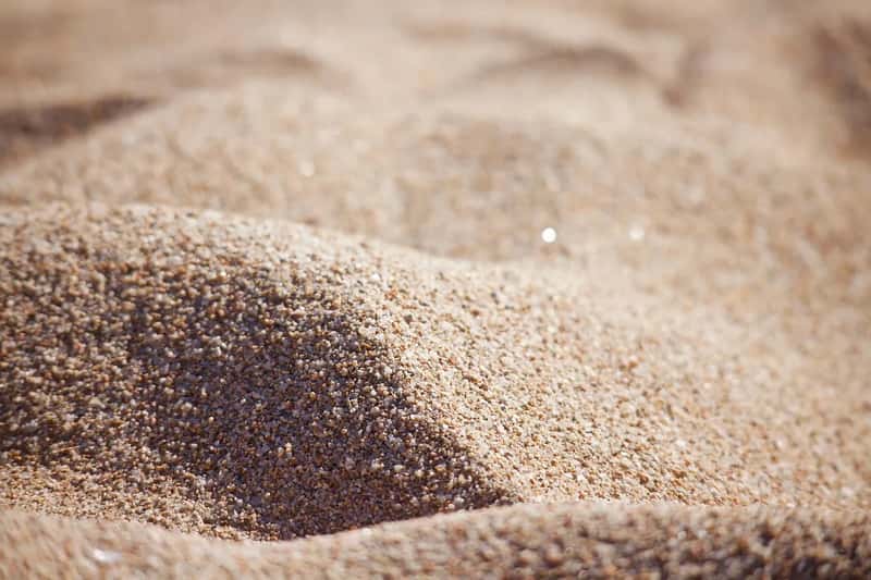 1. Beach Sand, Shells, and Pebbles (Image Credits: Pixabay)